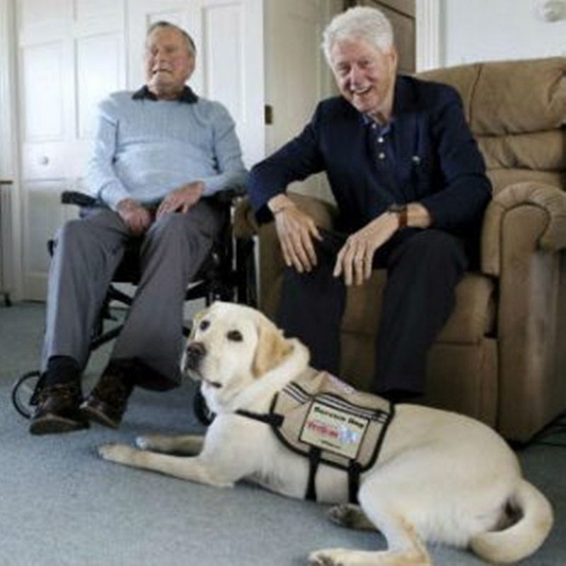 L'ex presidente Bush dà il benvenuto al nuovo cane da assistenza nel complesso di Kennebunkport